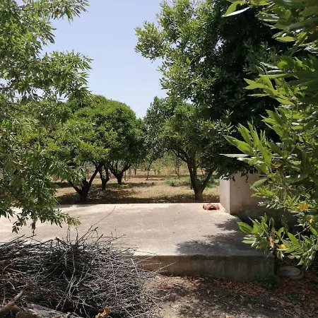 Lejlighed Ninetta Piano Terra Con Veranda *